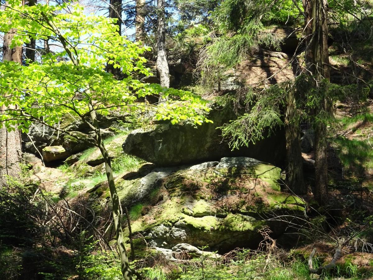 Cu-Ferienwohnungen - Nur Fuer Urlaubsgaeste Grafenwiesen Exterior photo