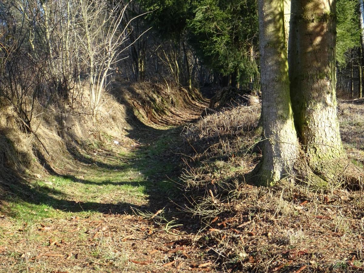 Cu-Ferienwohnungen - Nur Fuer Urlaubsgaeste Grafenwiesen Exterior photo
